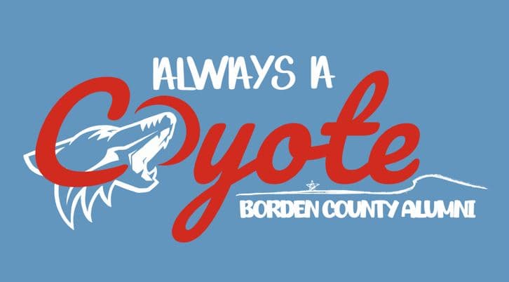 Borden County Shirt Image